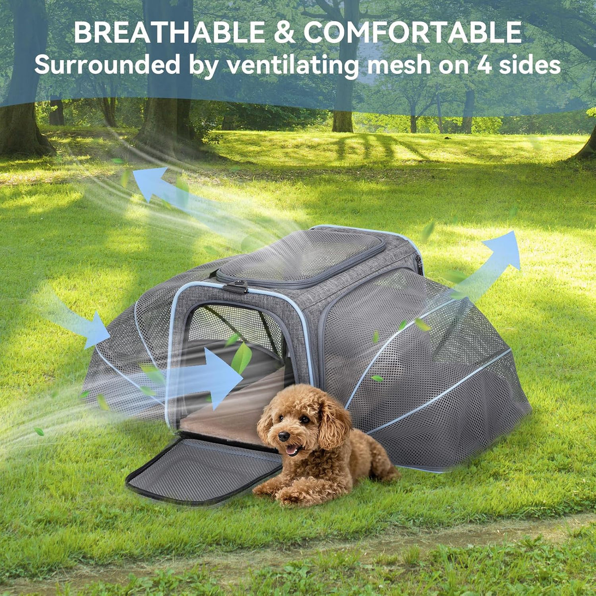 Petsfit Medium Double Expandable Cat Carrier for Cats and Small Dogs
