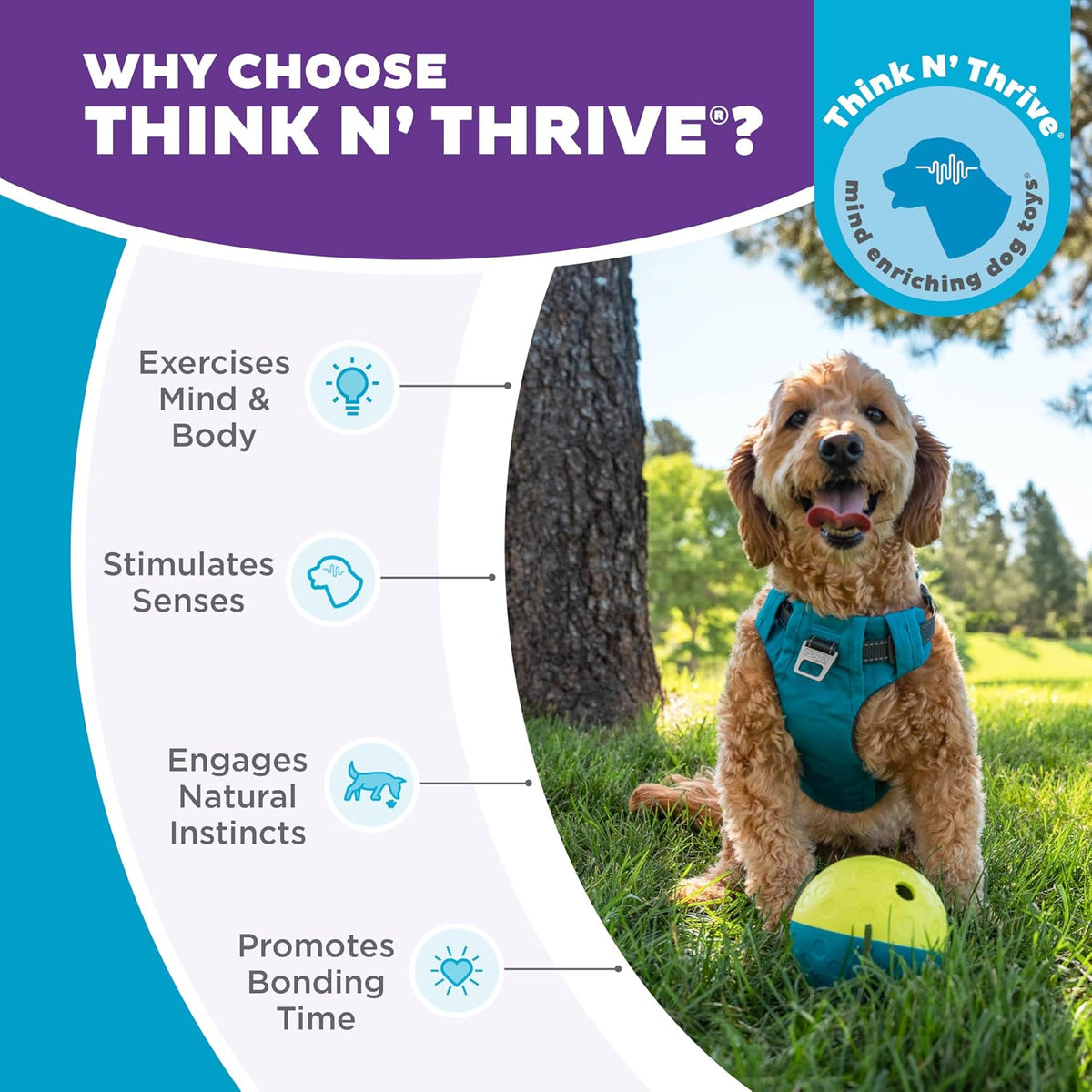 Outward Hound Nina Ottosson Treat Tumble Dog Toy Puzzle Ball, 4.8" | Level 1 Easy, Food-Dispensing Ball, Holds 1 Cup Kibble or Treats, No BPA, Interactive Enrichment, Dogs & Puppies