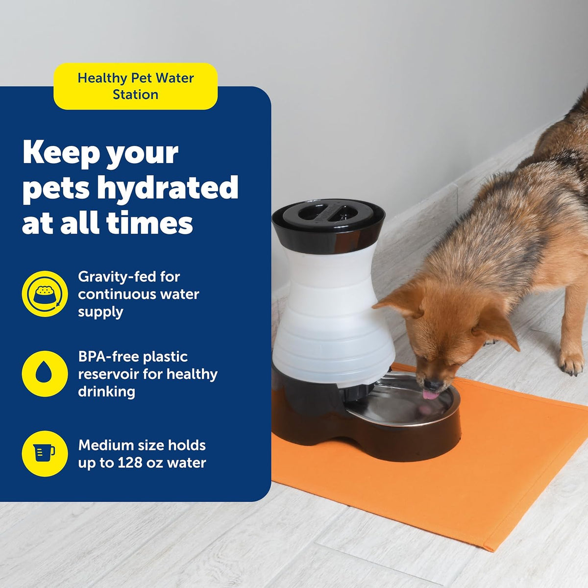 PetSafe Healthy Pet Water Station, 128 oz, Stainless Steel Bowl, Medium