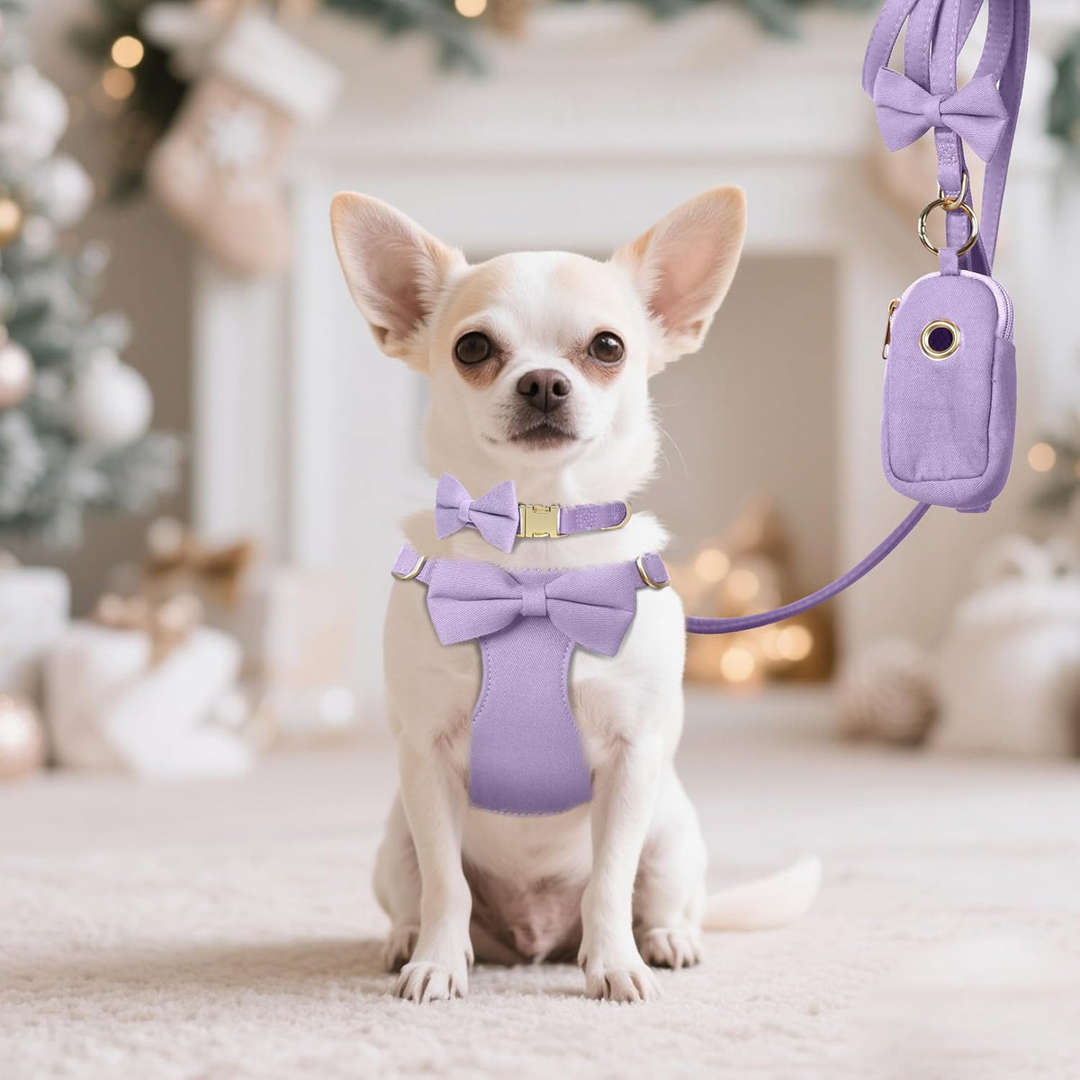 Beirui Cute Small Dog Harness Collar and Leash Set, Purple,XXS,Chest 12-14"
