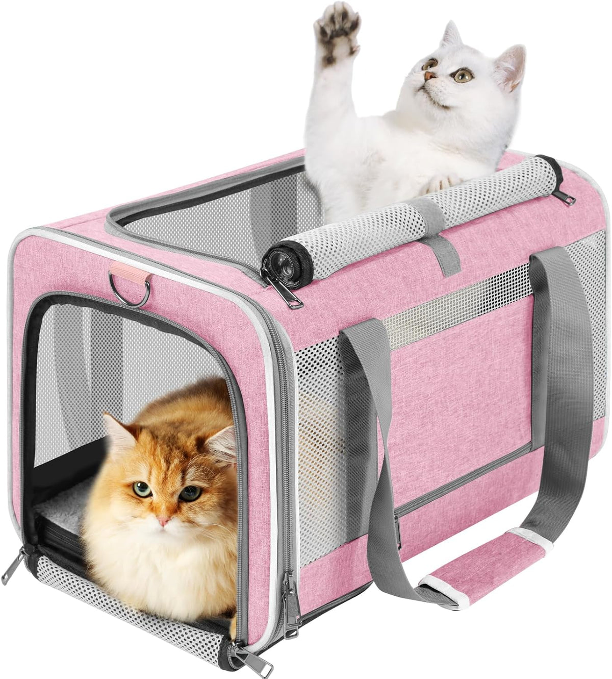GAPZER Large Cat Carrier Soft, Collapsible Travel Pet Carry Bag, Small Dogs
