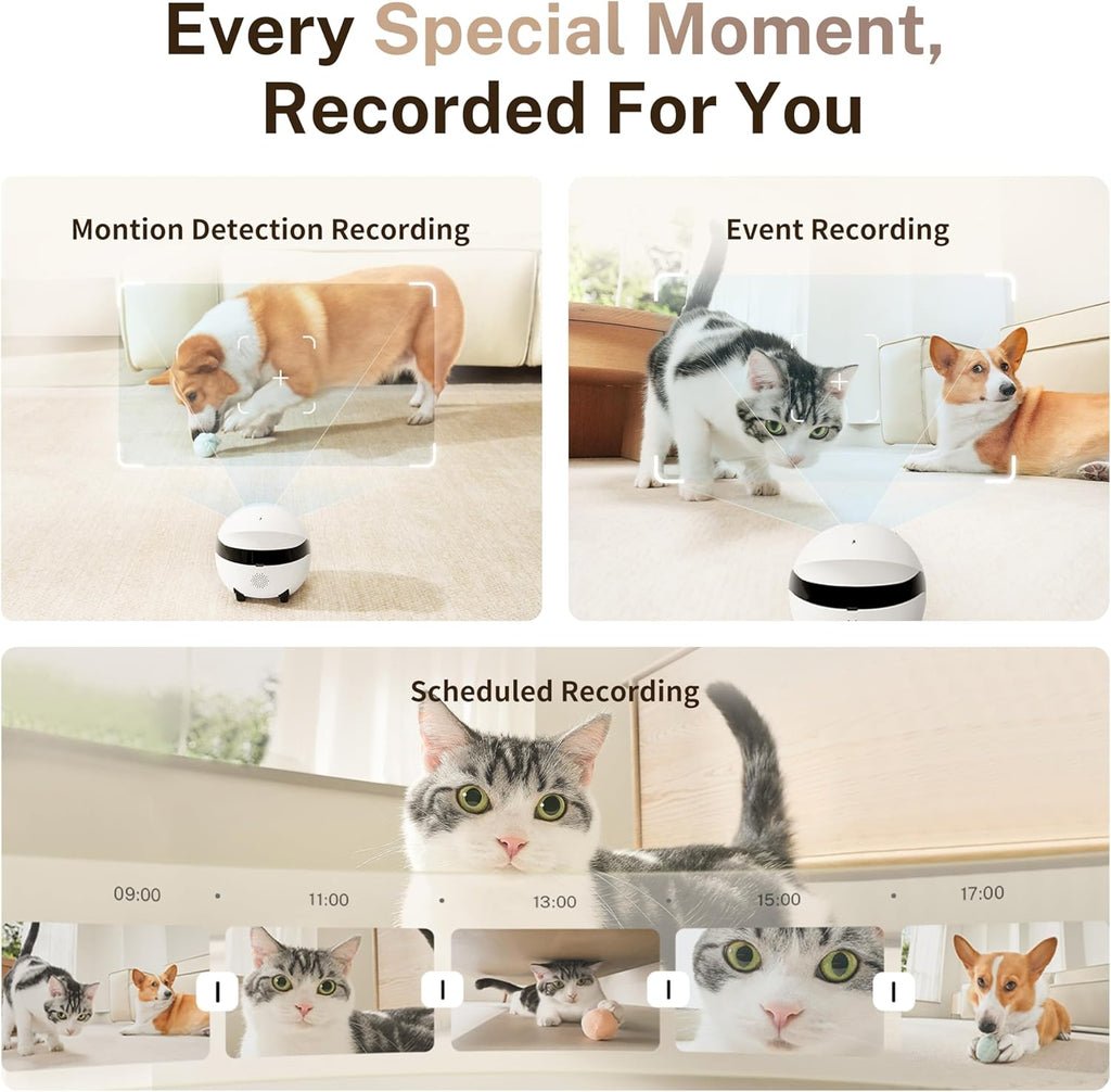 Enabot EBO ROLA Mini Pet Camera Robot: 2K FamilyBot Mobile Home Companion