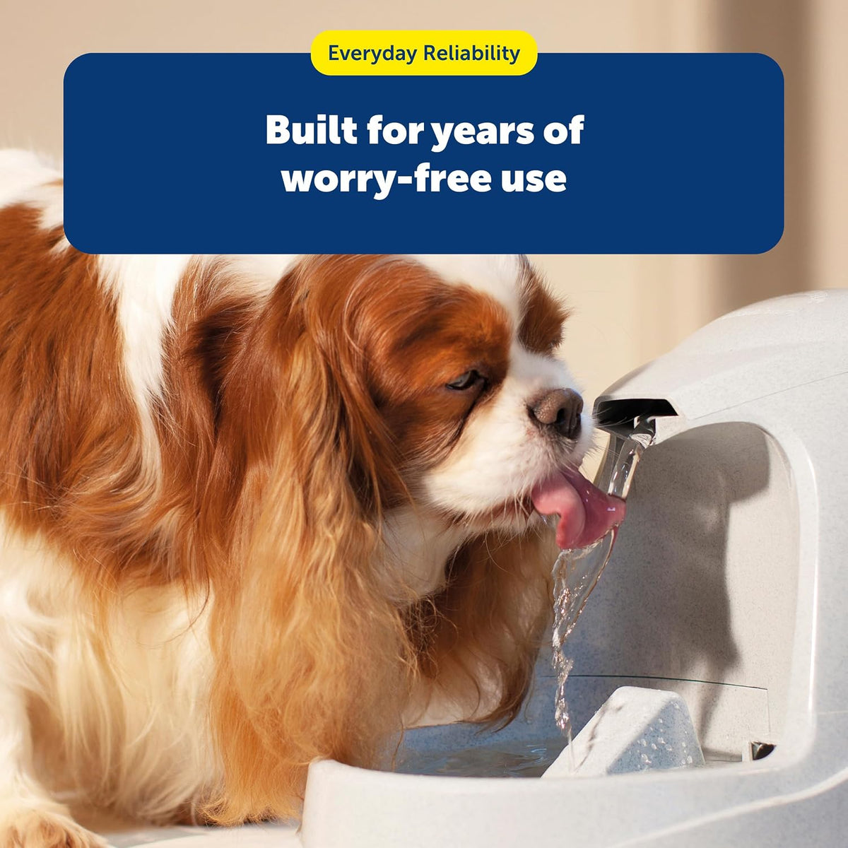 PetSafe Drinkwell Premium Carbon Filters, Dog & Cat Water Fountain Filters