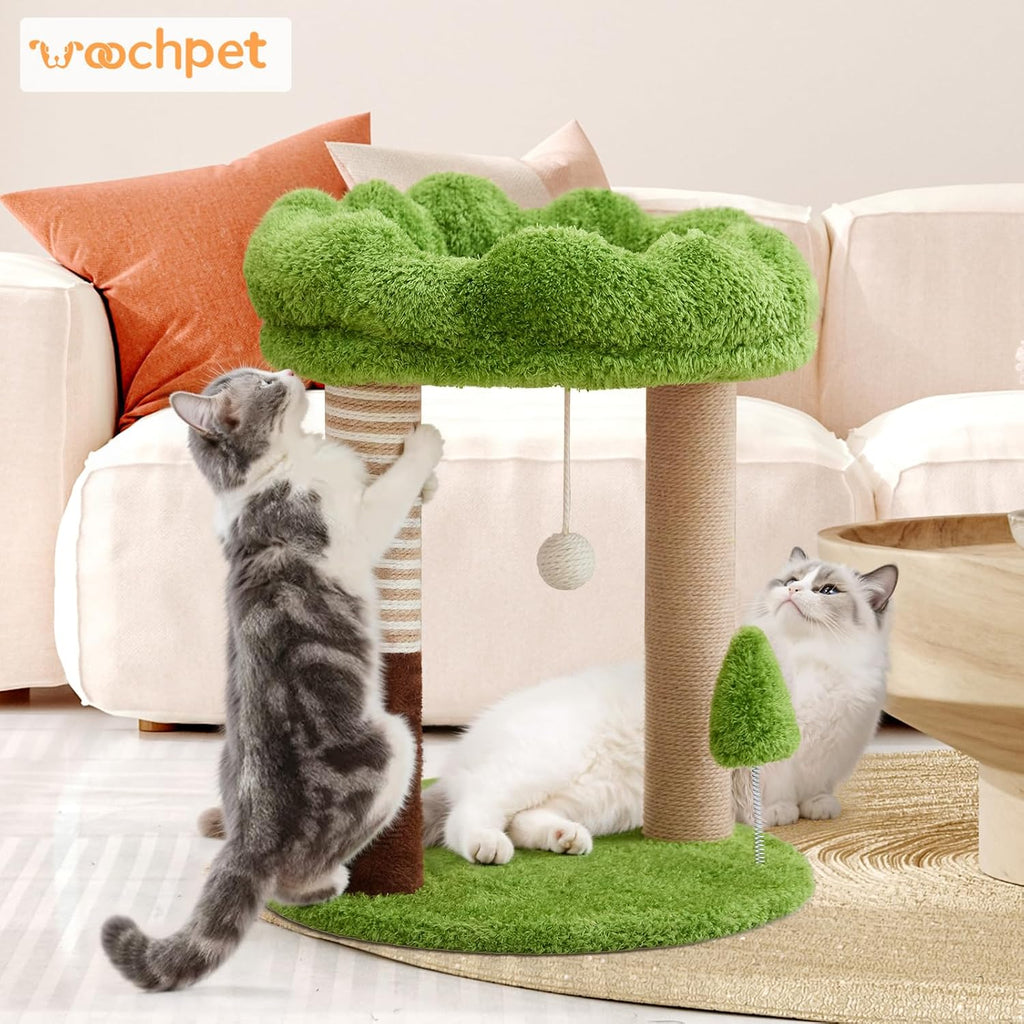 WOOCHPET 21" Small Cat Tree with 2 Scratching Posts and Perch Bed