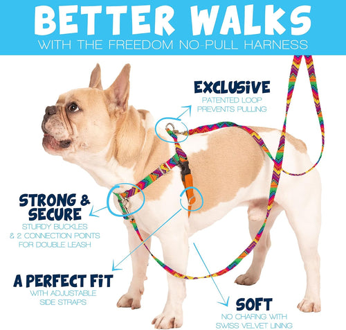 2 Hounds Design Freedom No Pull Dog Harness and Leash, 1" MD, Neon Green