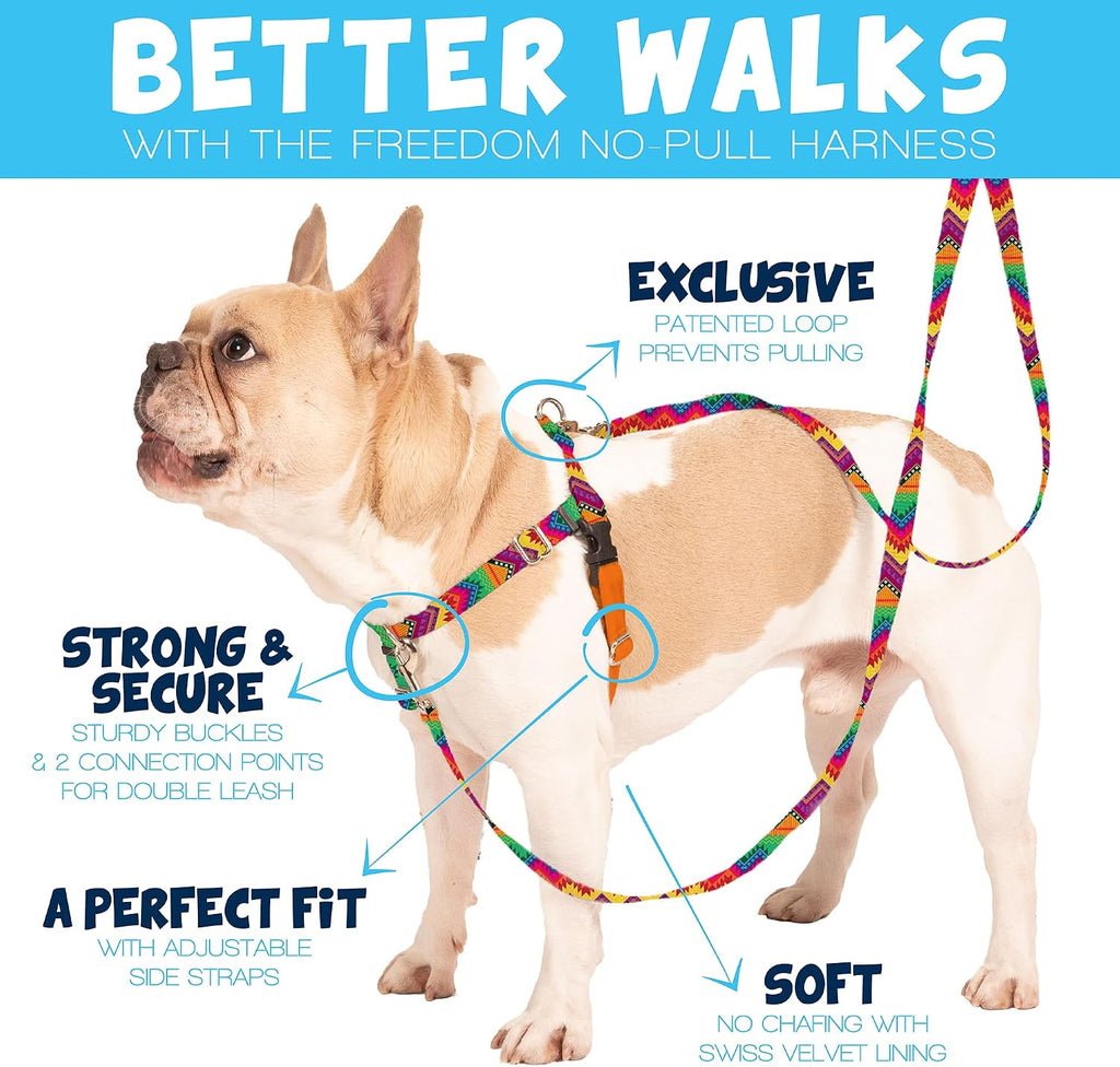 2 Hounds Design Freedom No Pull Dog Harness and Leash, 1" MD, Tan