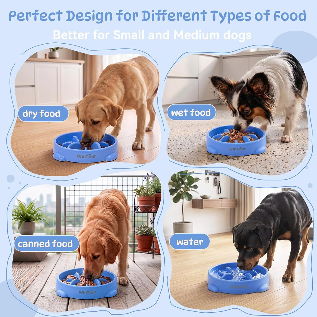 WinTour Slow Feeder Dog Bowls for Small Medium Pets, Round PP Dish, 1 Pack