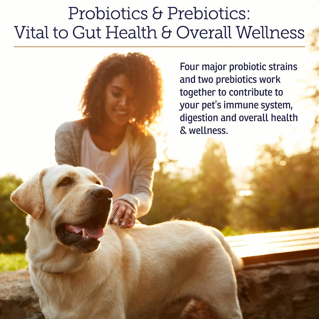 Rx Vitamins Rx Biotic - Probiotic Powder for Dogs and Cats - 1.25oz