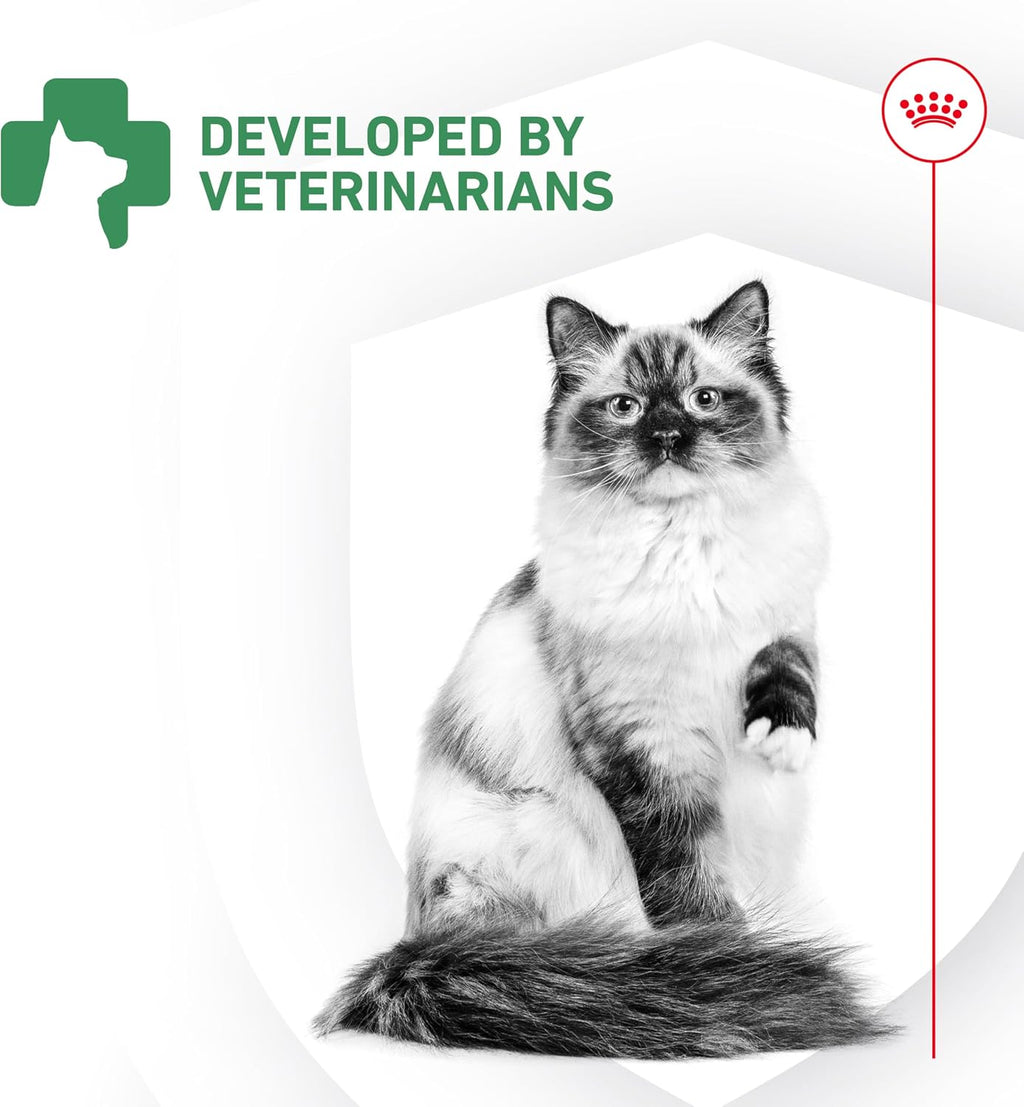 Royal Canin Probiotics for Cats Digestive and Immune Health Powder Supplement for Cats of All Ages, 30 Count