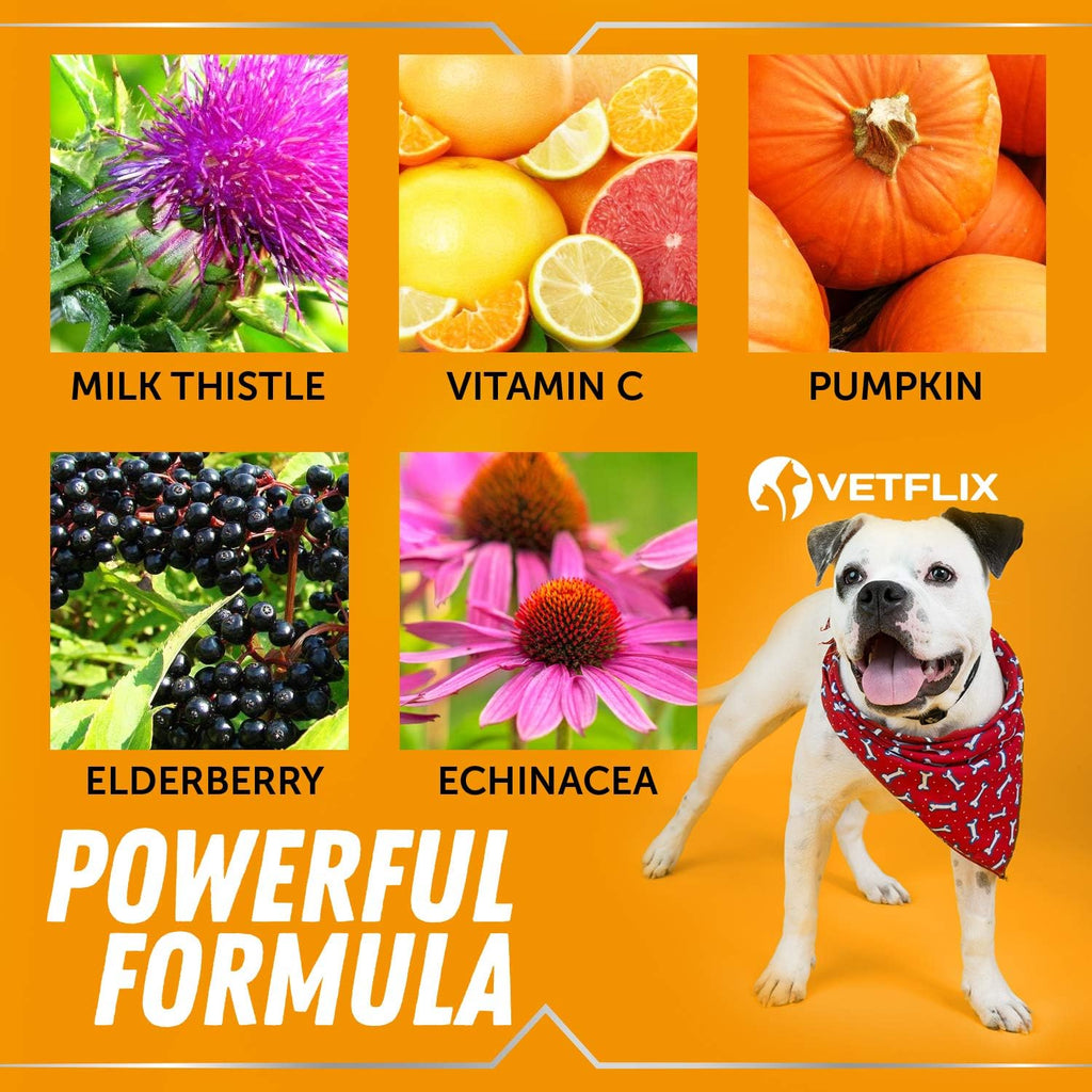 Allergy and Immune Supplement for Dogs and Cats, Anti Itch Drops, 2 Fl Oz