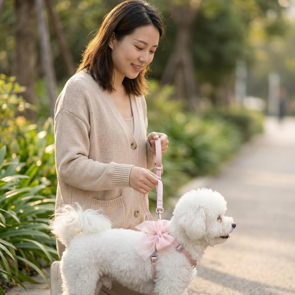 Pink Leash and Bow H-Shaped Design Harness for Small Cats Dogs, Proof Soft Adjustable Vest Easy Control Breathable Harnesses for Small Cats Dogs (M 8-15LBS)