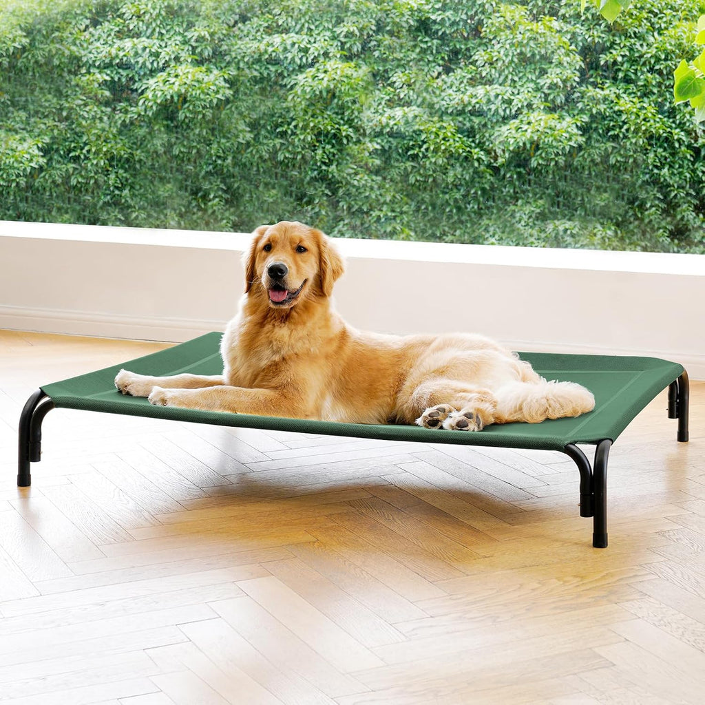 Elevated Dog Bed Outdoor Cooling Raised Cot for XL Dogs, Green 53.9in