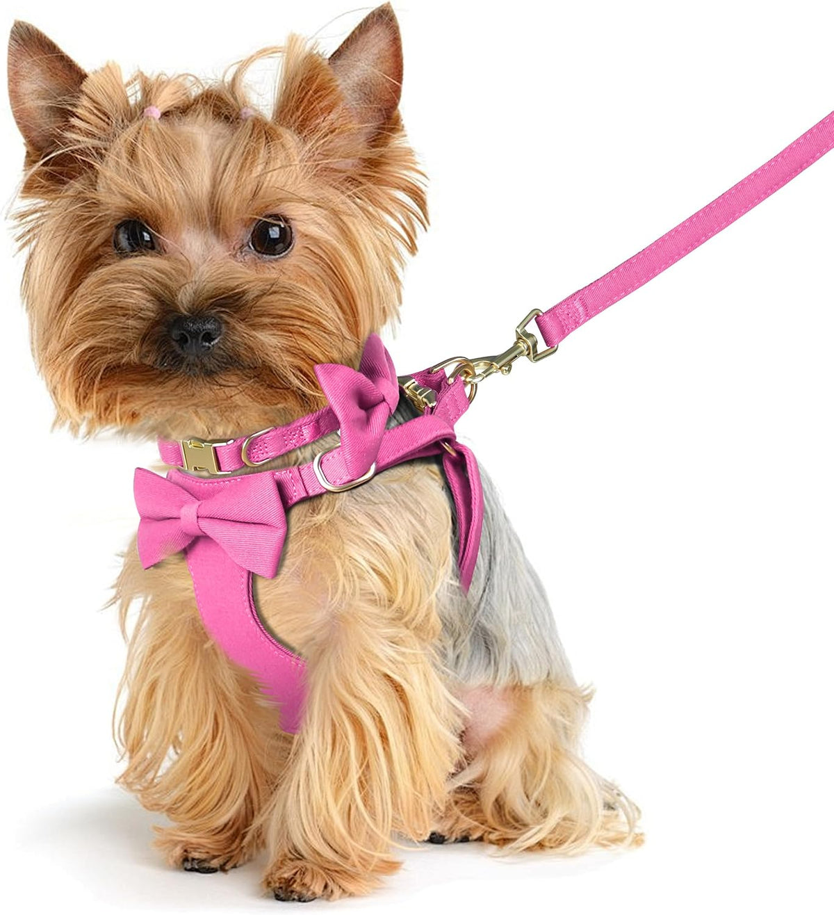 Beirui Cute Small Dog Harness Collar and Leash Set, Rose,XXS,Chest 12-14"