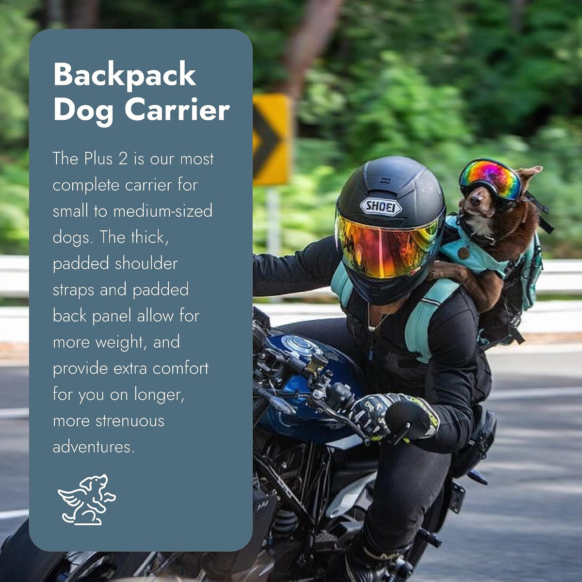 K9 Sport Sack Plus 2 - Large, Summer Mint