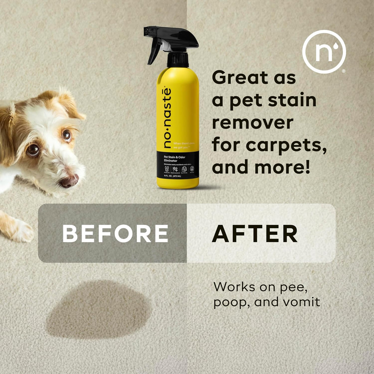 Nonaste Oatmeal Dog Shampoo & Pet Stain Odor Eliminator Set, 16 oz, Pk 2
