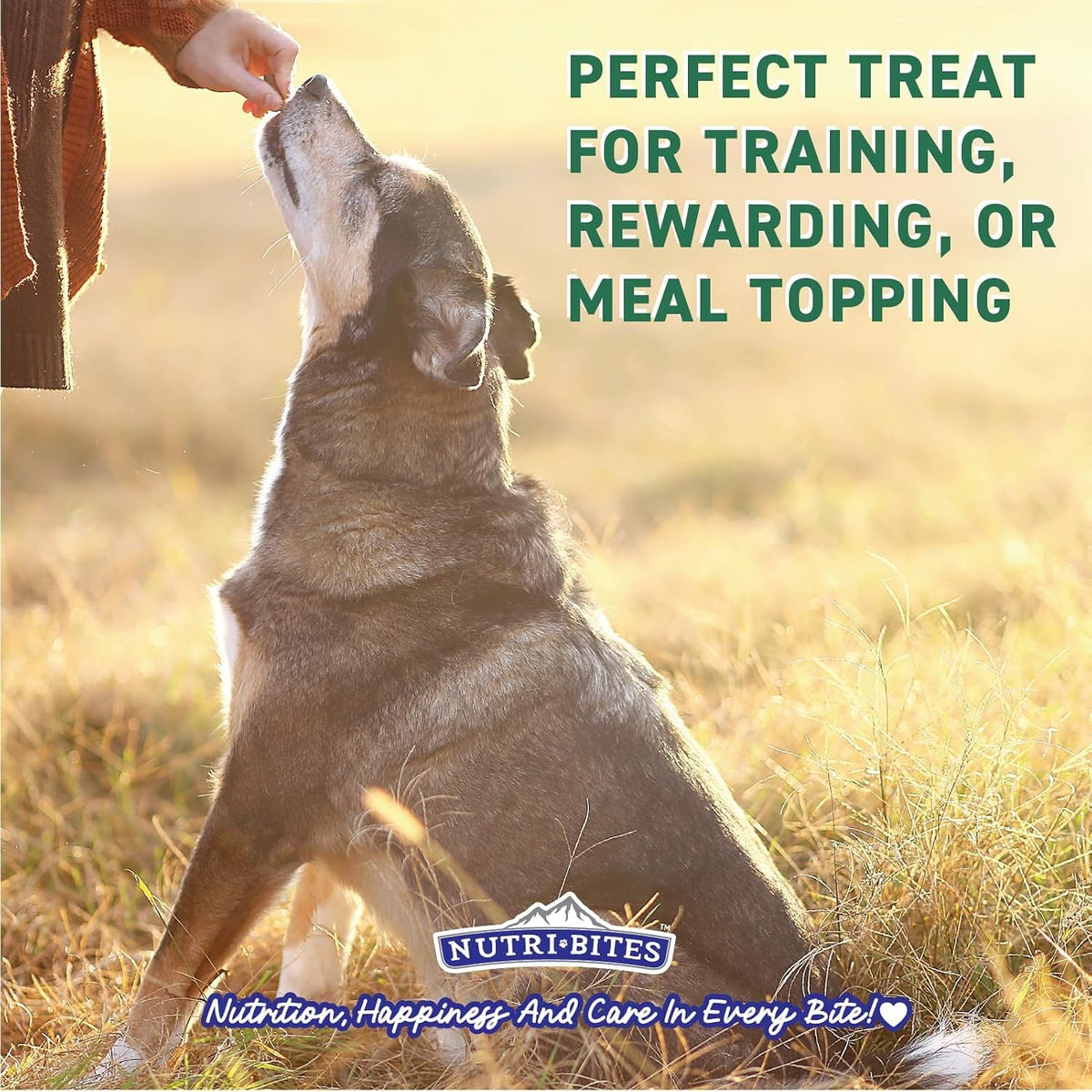 Nutri Bites Freeze Dried Beef Liver Dog & Cat Treats, Single Ingredient (2-Pack)