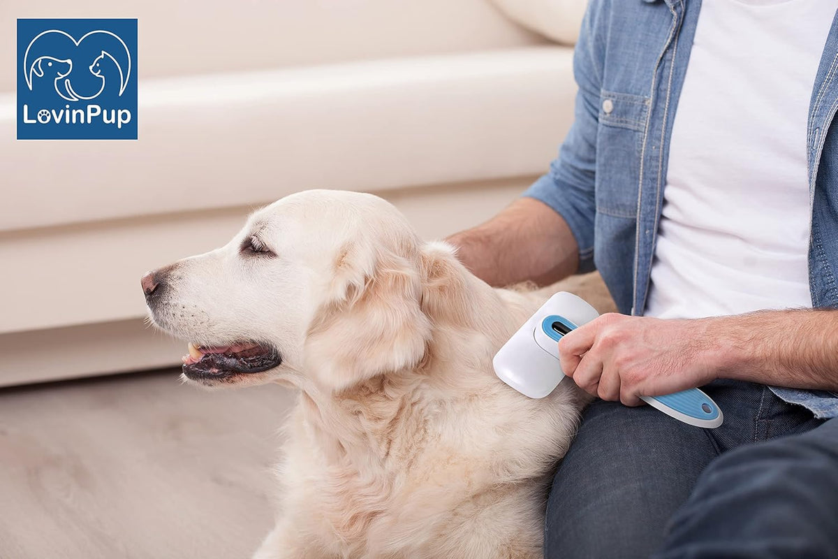 Pet Slicker Brush – Self Cleaning Brush for Dogs & Cats | Retractable Bristles for All Hair Types – Massaging Pins Remove Tangles & Mats Painlessly – Durable Grooming Tool for Pets 