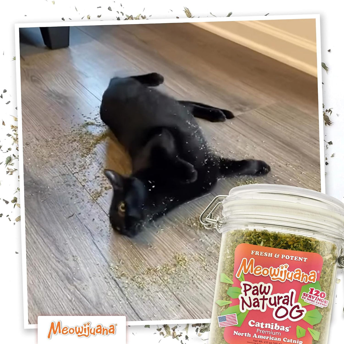 Meowijuana Paw Natural OG Jar, 60g | High Potency Catnip for Cats