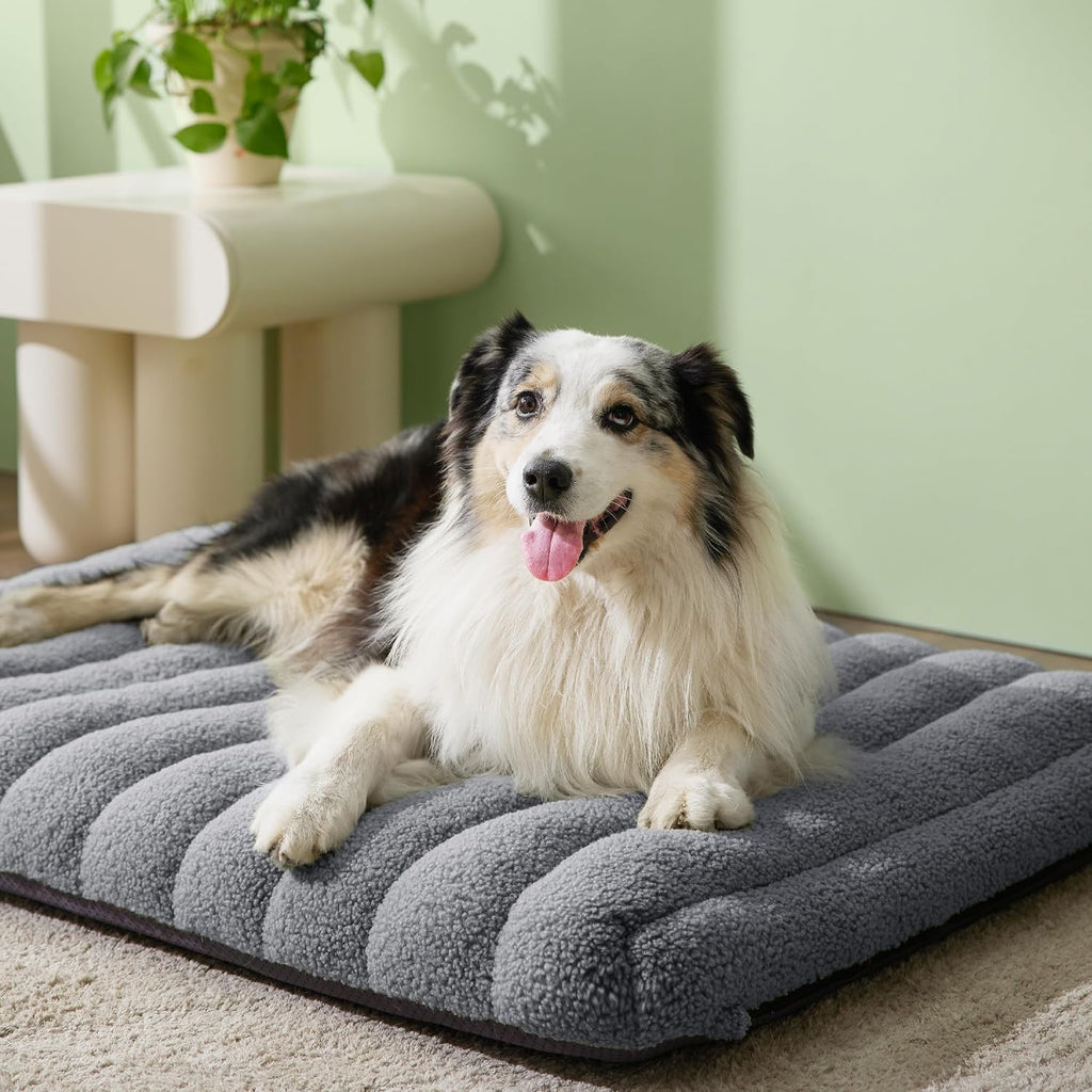 LE SURE Cute Orthopedic Dog Bed Large Sized Dog, Waterproof Chic Flat Pet Beds with Removable Washable Cover, Fuzzy Thick Egg Crate Foam Pet Mat for Indoor Use (36" x 27", Grey)