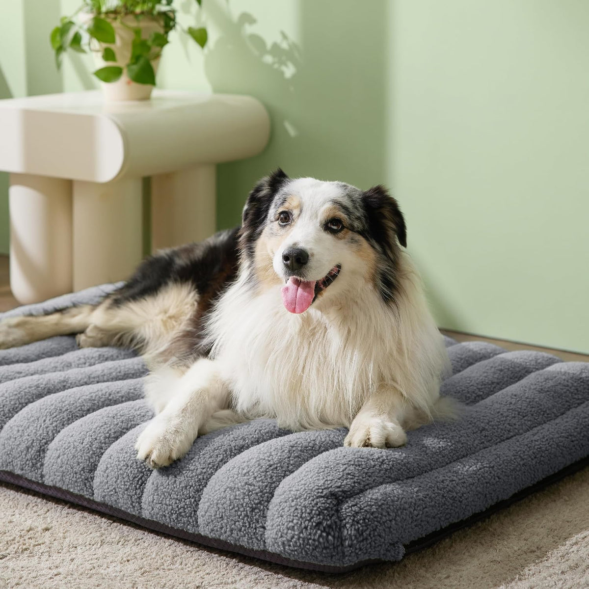 LE SURE Cute Orthopedic Dog Bed Large Sized Dog, Waterproof Chic Flat Pet Beds with Removable Washable Cover, Fuzzy Thick Egg Crate Foam Pet Mat for Indoor Use (36" x 27", Grey)