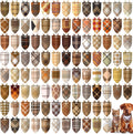 Huhumy 100 Pcs Fall Plaid Dog Bandanas Bulk Plaid Dog Bandanas Fall Decor