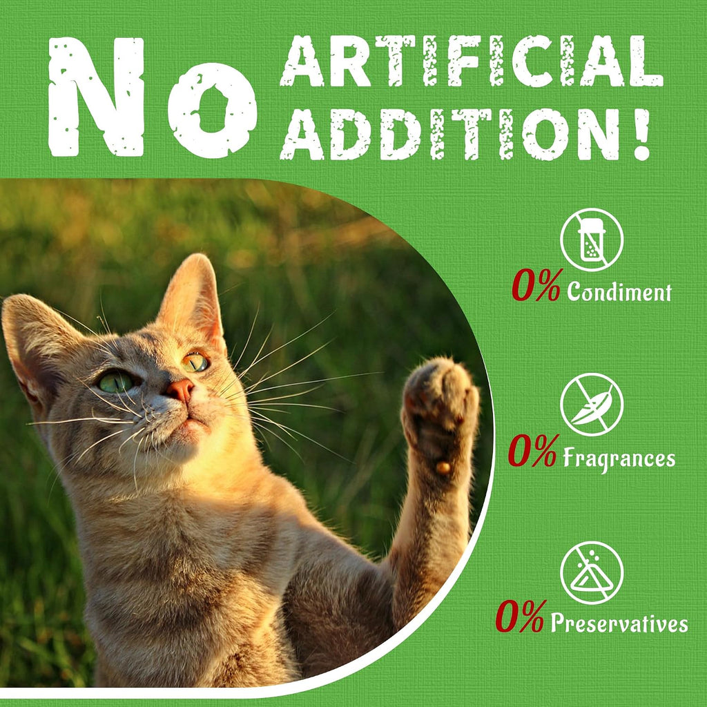 Just Try Cat Grass Jerky Treats for Indoor Cats, 16 oz