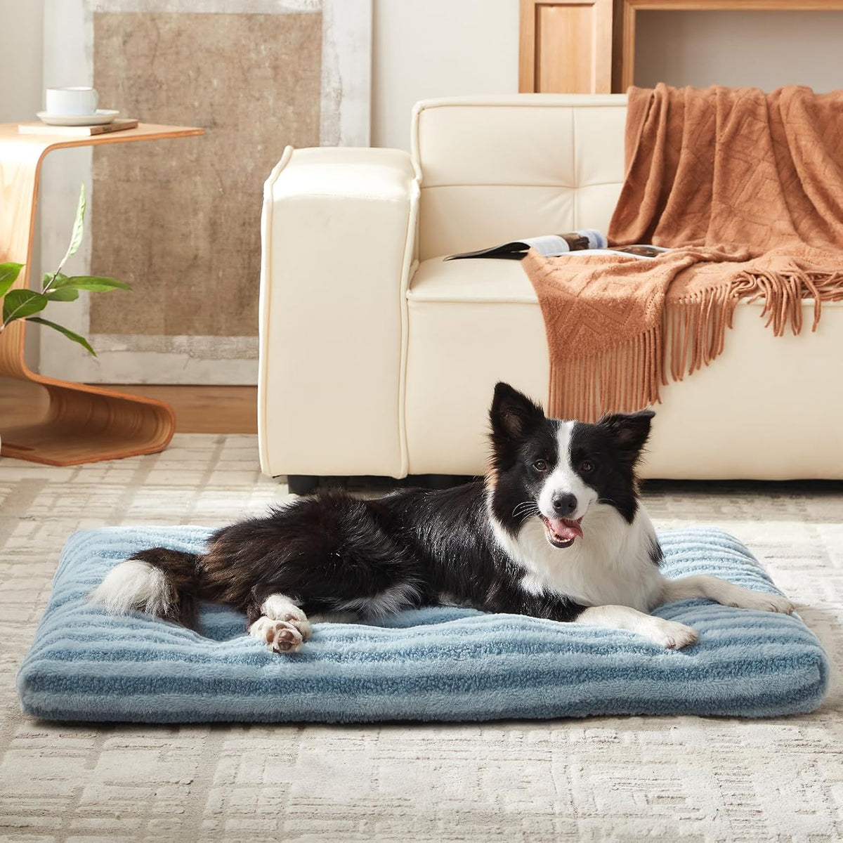 FURTIME Washable Small Dog Bed, Deluxe Dog Crate Beds