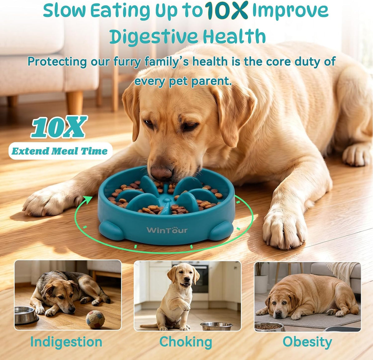 WinTour Slow Feeder Dog Bowls for Small Medium Pets, Round PP Dish, 1 Pack