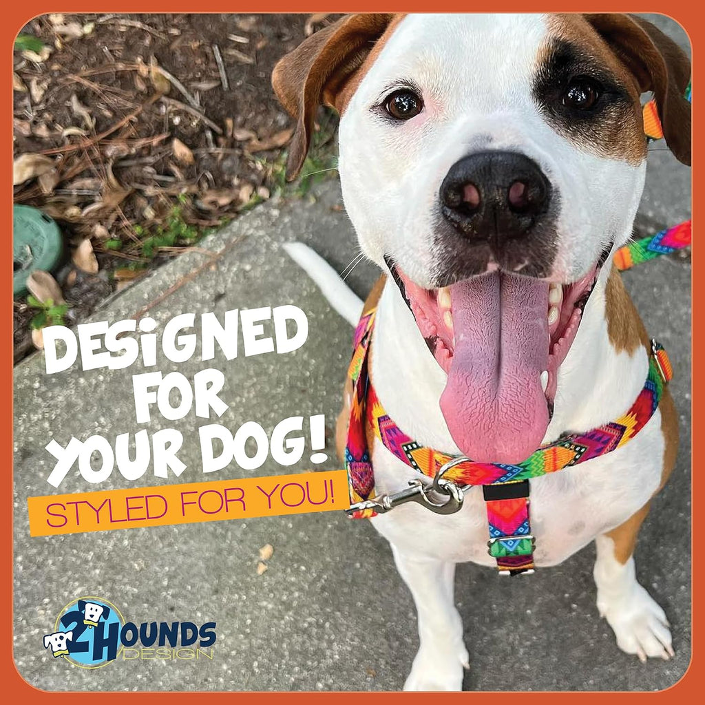 2 Hounds Design Freedom No Pull Dog Harness and Leash, 1" MD, Raspberry