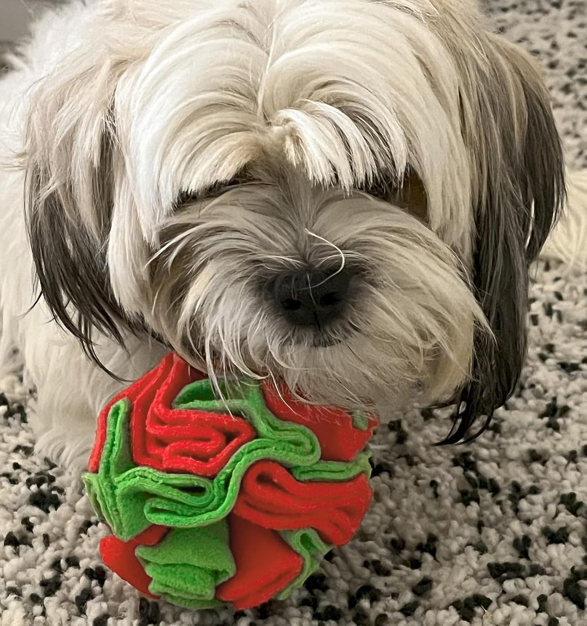 Glory To Dog Small Breed Snuffle Ball Foraging Dog Toy Christmas Green/Red