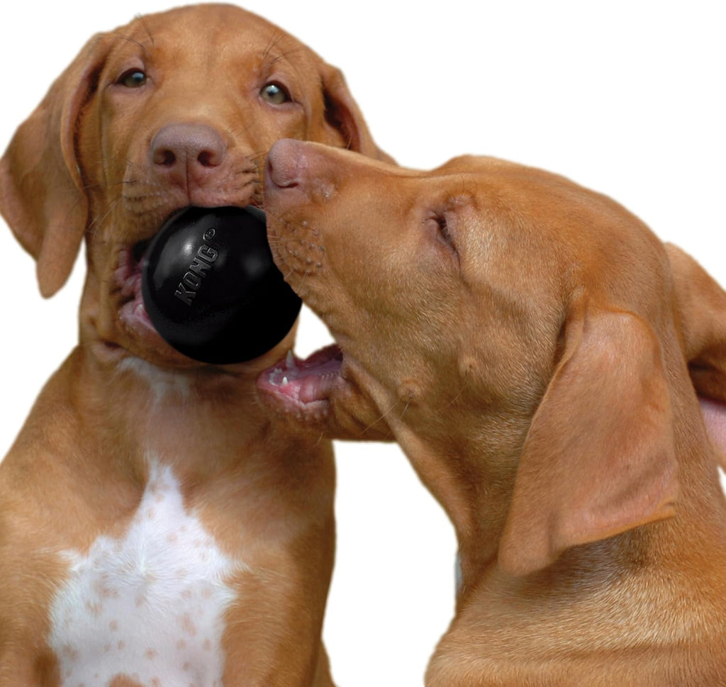 KONG Extreme Ball with Hole, Rubber Fetch Toy, Black, for Large/Medium Dogs | Made from KONG's Most Durable Extreme Rubber, a Fetch Ball with a Hole for Training & Interactive Play