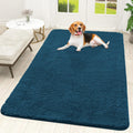 OLANLY Dog Door Mat for Muddy Paws 59x35, Super Absorbent Chenille Mud Mat