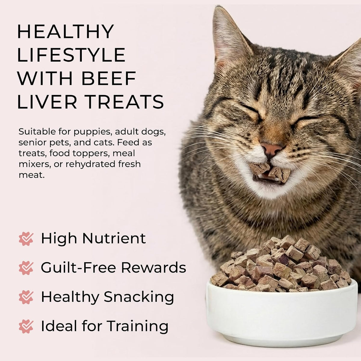 BLACK FOX Freeze-Dried Beef Liver Dog Treats & Cat Treats | Beef Liver Treats for Dogs | 260 Treats, 4oz | Single Ingredient, Raw, Grain-Free, Human Grade | High Protein Training Treats