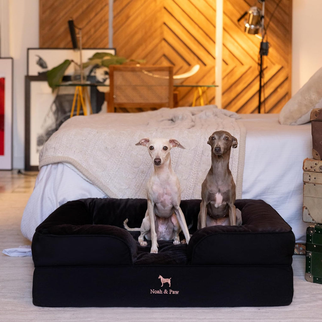 NOAH & PAW Dog Bed, Orthopedic Memory Cooling Foam (2X Base) 35x25x11in