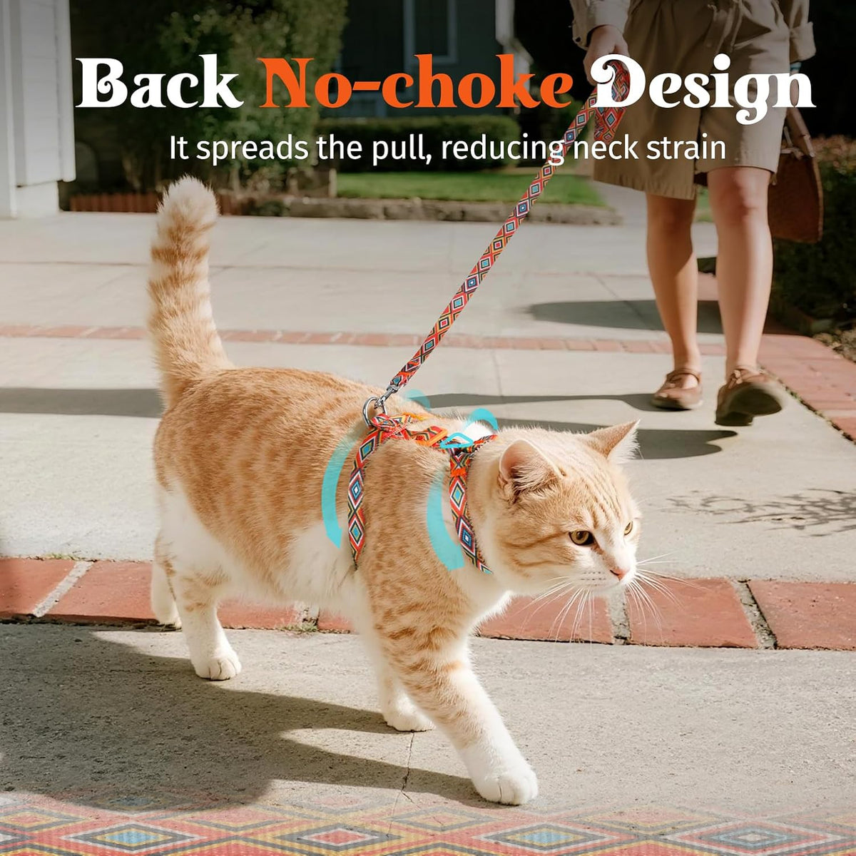 Dooradar Cat Harness and Leash Set, Adjustable Pet Straps, Orange & Black