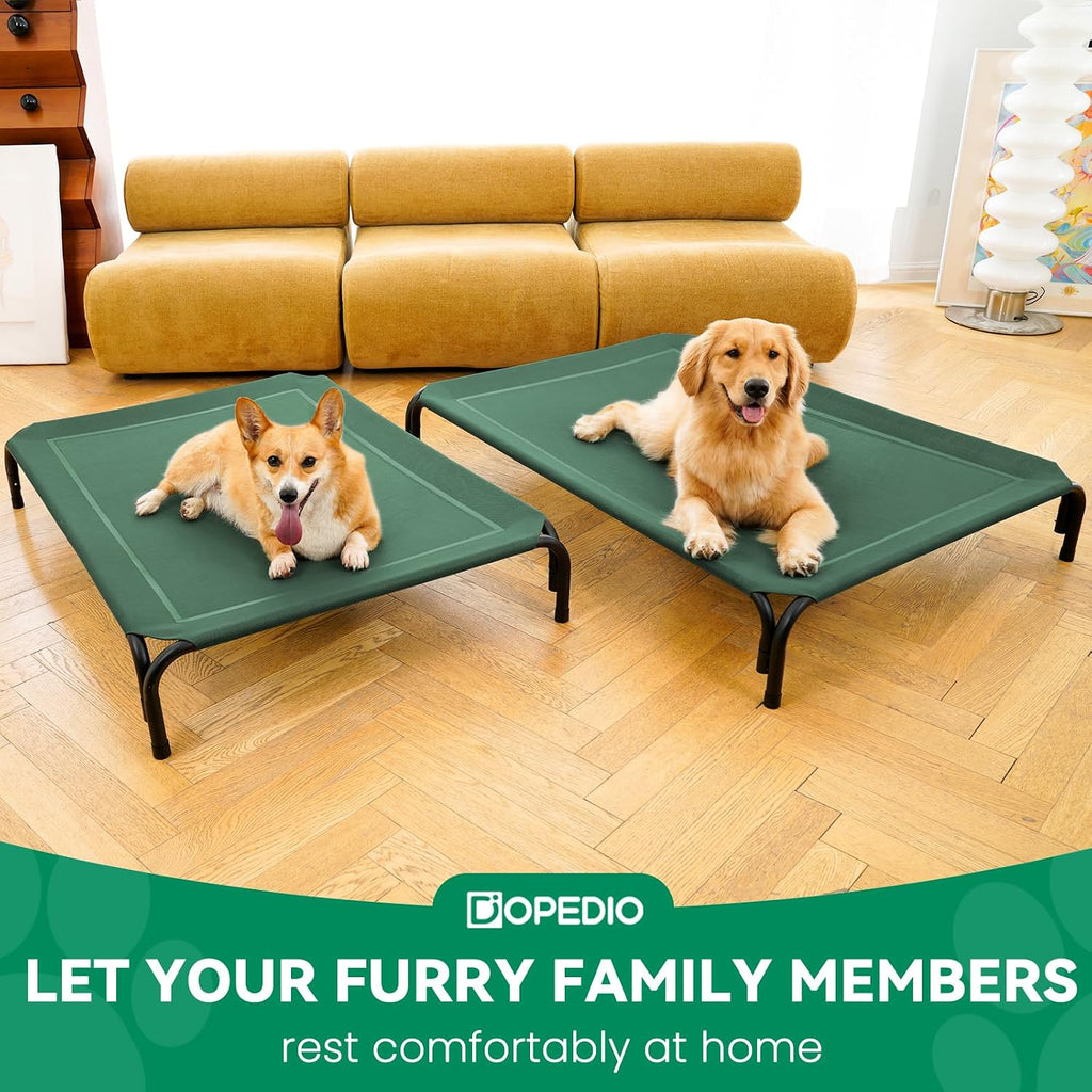 Elevated Dog Bed Outdoor Cooling Raised Cot for XL Dogs, Green 53.9in