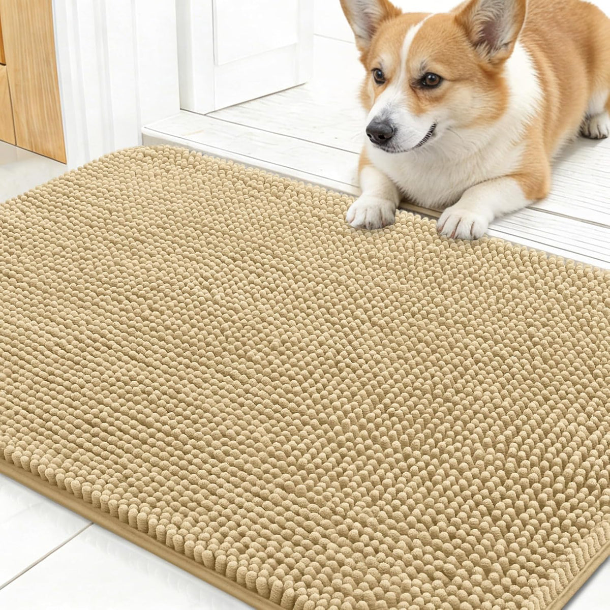 OLANLY Dog Door Mat for Muddy Paws 24x16, Super Absorbent Chenille Mud Mat