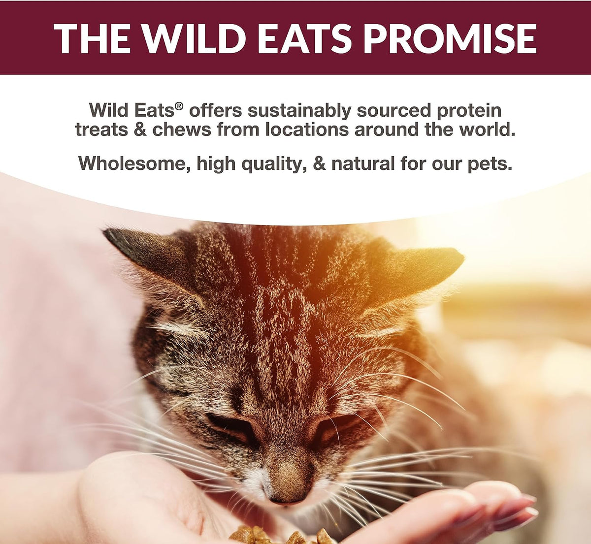 Wild Eats Simply Puree Salmon & Ancient Grains Cat Treats Tub, 48 Servings