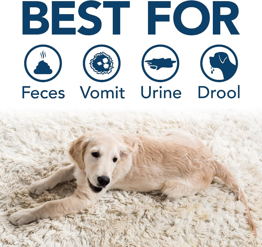 Simple Solution Pet Stain & Odor Remover, Spring Breeze Scent, Gallon