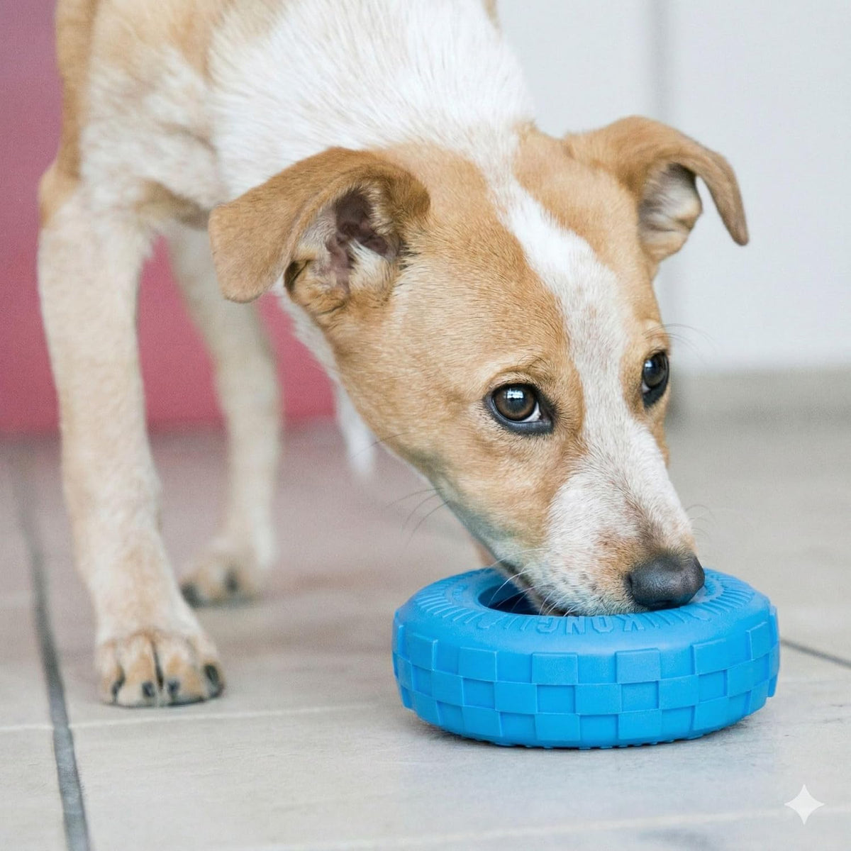 KONG Puppy Tires, Natural Rubber Teething Toy, Medium/Large Puppies, Blue | Durable KONG Natural Rubber Chew & Fetch Toy That Promotes Healthy Teeth & Gums with a Fun Bounce & Easy Roll