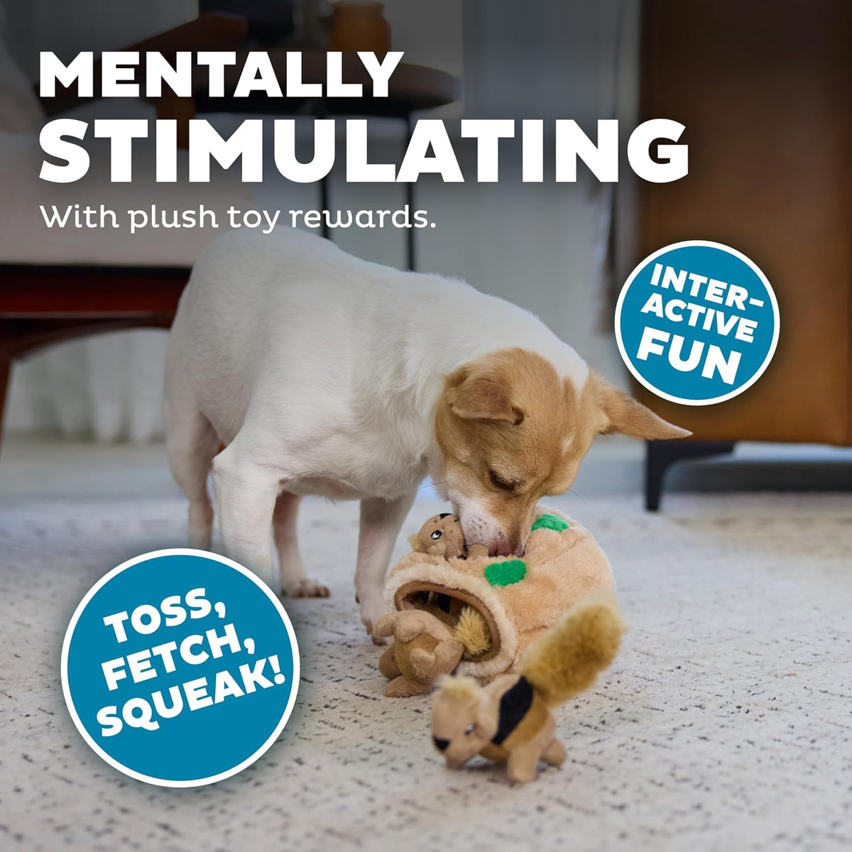 Outward Hound Hide-A-Squirrel Dog Toy – Interactive 2‑in‑1 Plush Puzzle with 3 Squeaky Removable Squirrels, Small (Pack of 12)