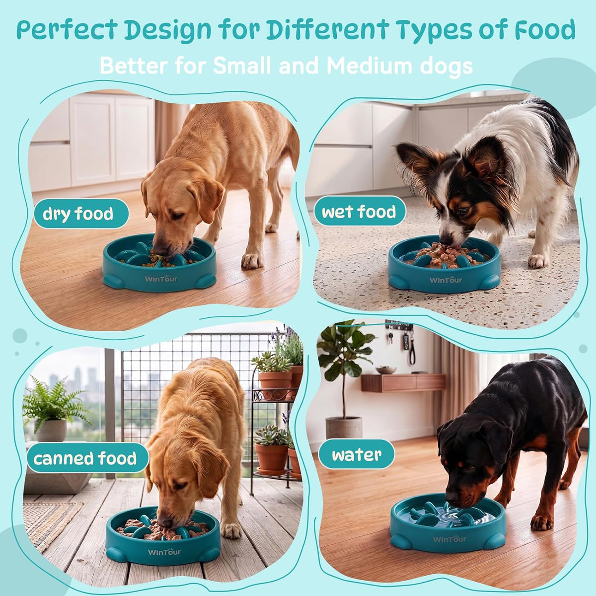 WinTour Slow Feeder Dog Bowls for Small Medium Pets, Round PP Dish, 1 Pack