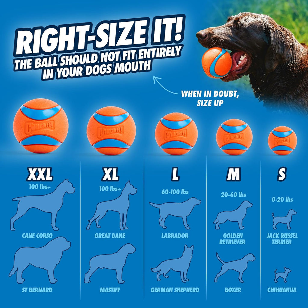 Chuckit! Dog Ball Launcher 12M Sport with 12" Handle Length for Medium 2.5" Dog Balls For Dogs 20-60 lb, Plastic Pet Fetch Ball Thrower, Perfect for Kids, Made in USA, Blue