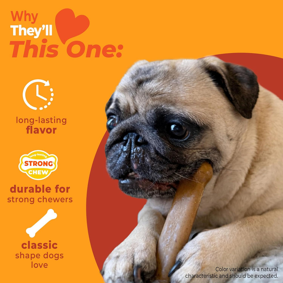 Nylabone Strong Chew Original Bone Dog Toy Made with Real Chicken | Dog toys for aggressive chewers, small dog chew bones up to 25 lbs, helps clean teeth and freshen breath