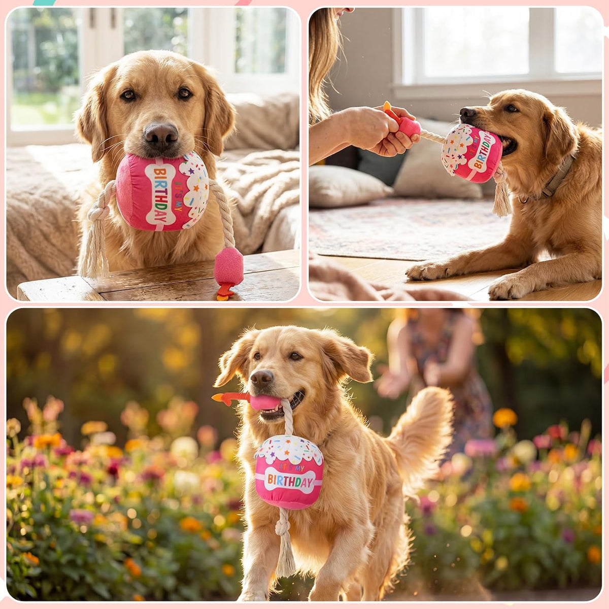 Dansydaisy Dog Birthday Cake Toy Squeaky Plush Gift,1st,Rose Pink | Interactive Squeaky Gift for Dogs, Dog Birthday Decor , Soft Chew for Small Medium Large Pets, Cake Design with Candle