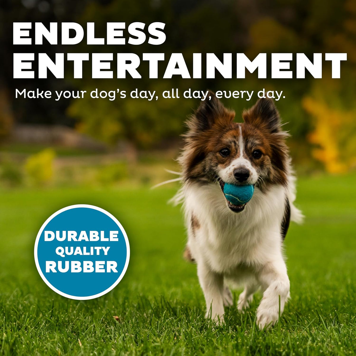 Outward Hound Squeaker Ballz Tennis Ball Dog Toy, Small, 2", 4‑Pack | Squeaks & Bounces, Bright Colors, Interactive Fetch & Training, Indoor Outdoor, Moderate Chewers, Small Dogs (Under 25 lbs)