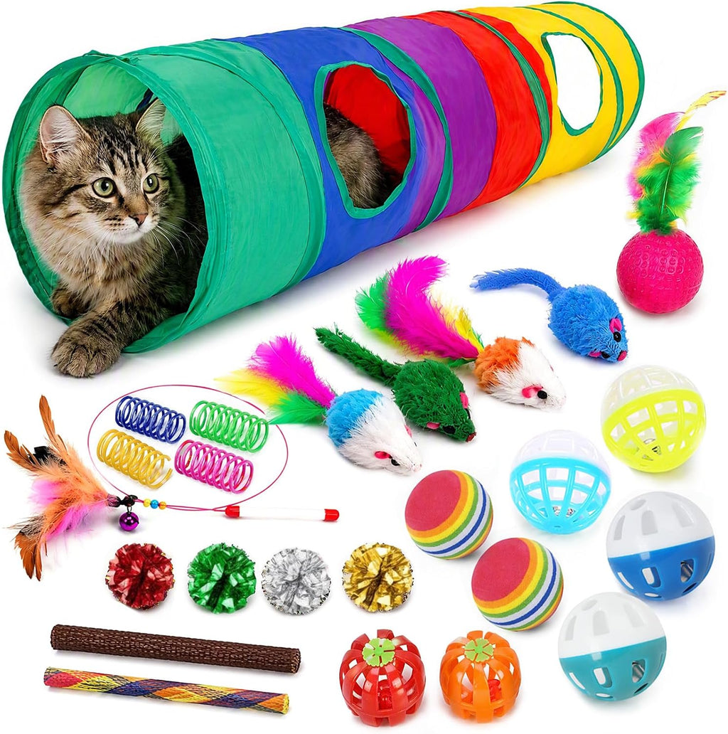 iCAGY 25 Pcs Cat Toys Set, Cat Tunnel Toy for Indoor Cats, Kittens