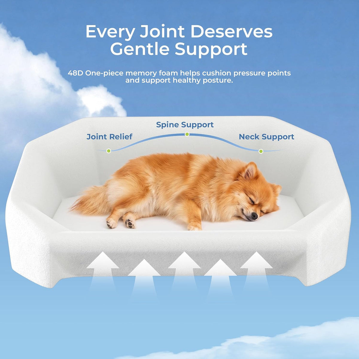 Dog Bed for Medium Sized Dog, Extra Thick Memory Foam, 3 Covers