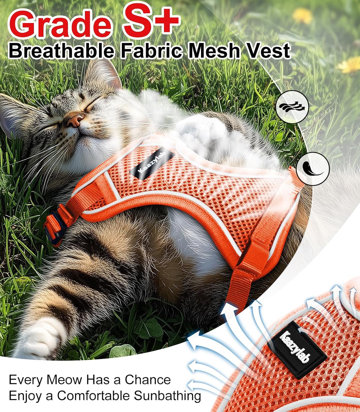 Cat Harness and Leash for Walking Escape Proof Soft Adjustable Cat Leash