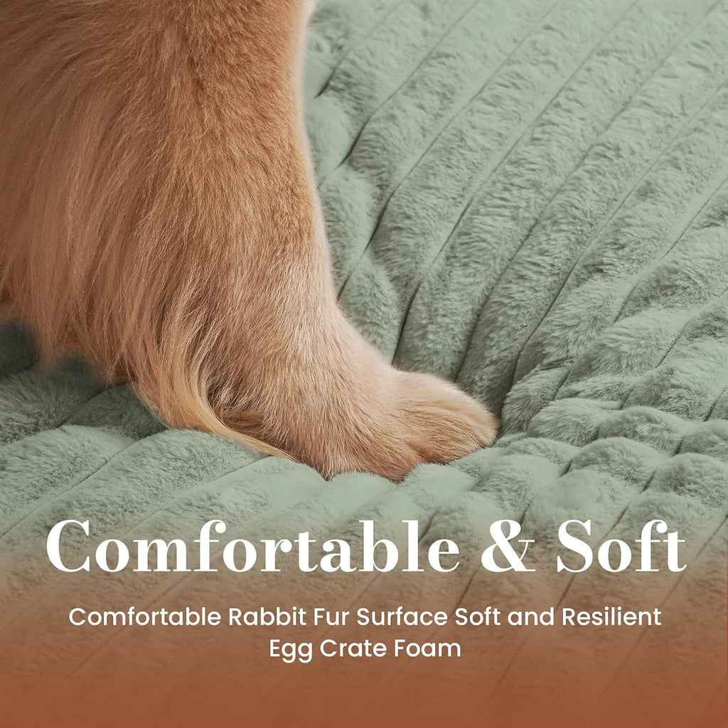 Extra Large Dog Bed Orthopedic Foam with Waterproof Lining